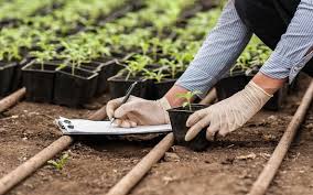 فنی کشاورزی